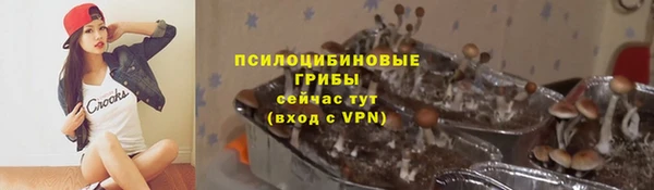 прущая мука Абаза