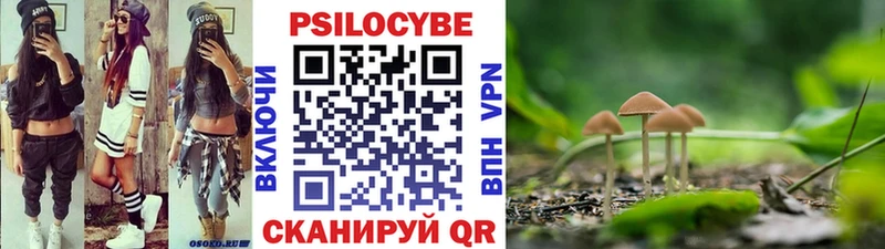 Галлюциногенные грибы MAGIC MUSHROOMS  Никольское 