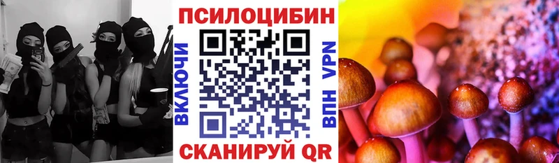 Псилоцибиновые грибы прущие грибы Никольское