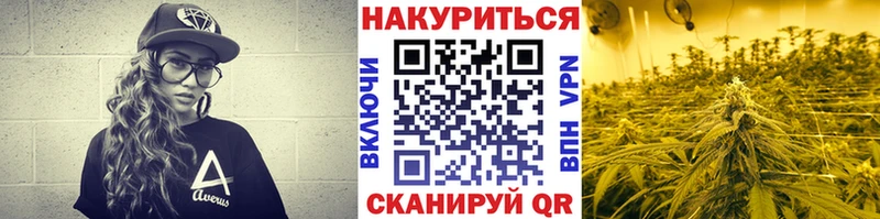 Бошки марихуана гибрид Никольское